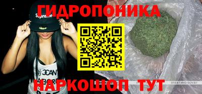 спиды Камышлов