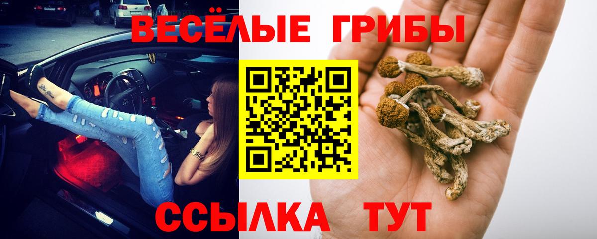 Горно-Алтайск  Псилоцибиновые грибы мухоморы  Галлюциногенные грибы ЛСД  Вход с VPN 